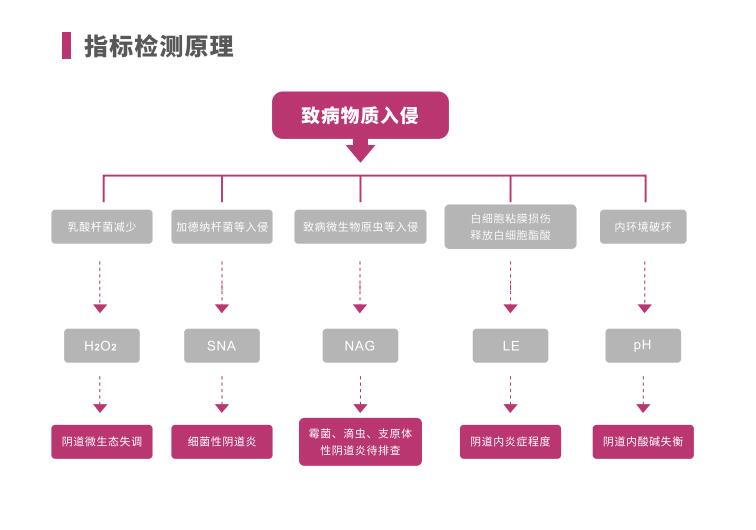 全自動陰道炎麻豆AV传媒蜜桃天美传媒LTS-V400指標檢測原理