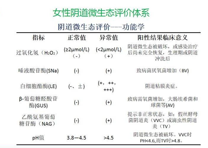 婦科微生態麻豆AV传媒蜜桃天美传媒器